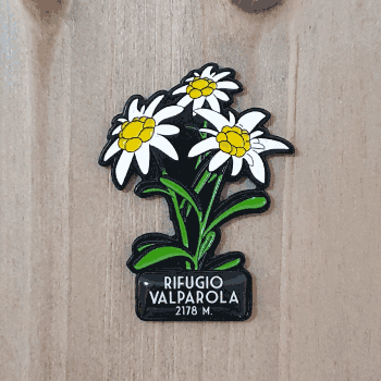 Souvenir per la montagna 23